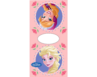 Disney Frozen Poncho sisters