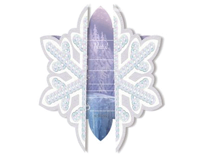 Frozen feest iceskating uitnodiging 6 per pak