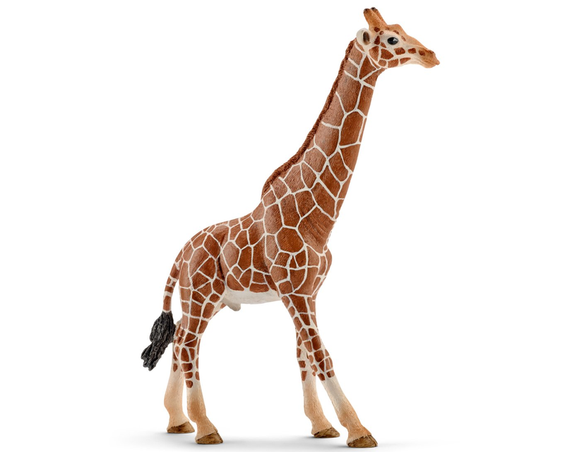 14749 Schleich Wild Life mannetjesgiraf