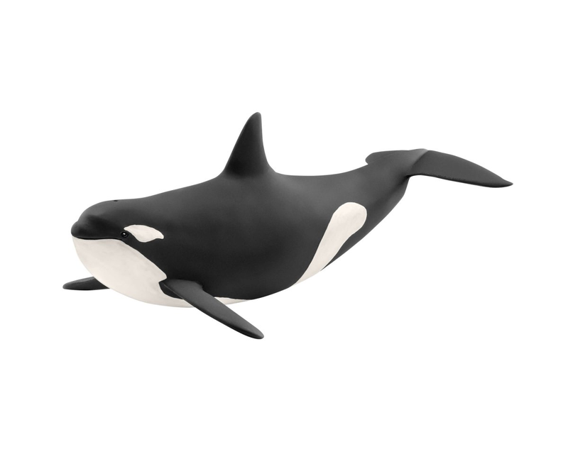 14807 Schleich Wild Life Orka