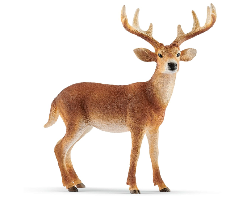 14818 Schleich Wild Life Witstaarthert