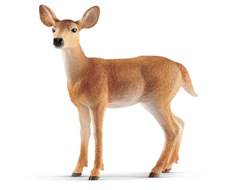 14819 Schleich Wild Life Witstaarthertenkoe