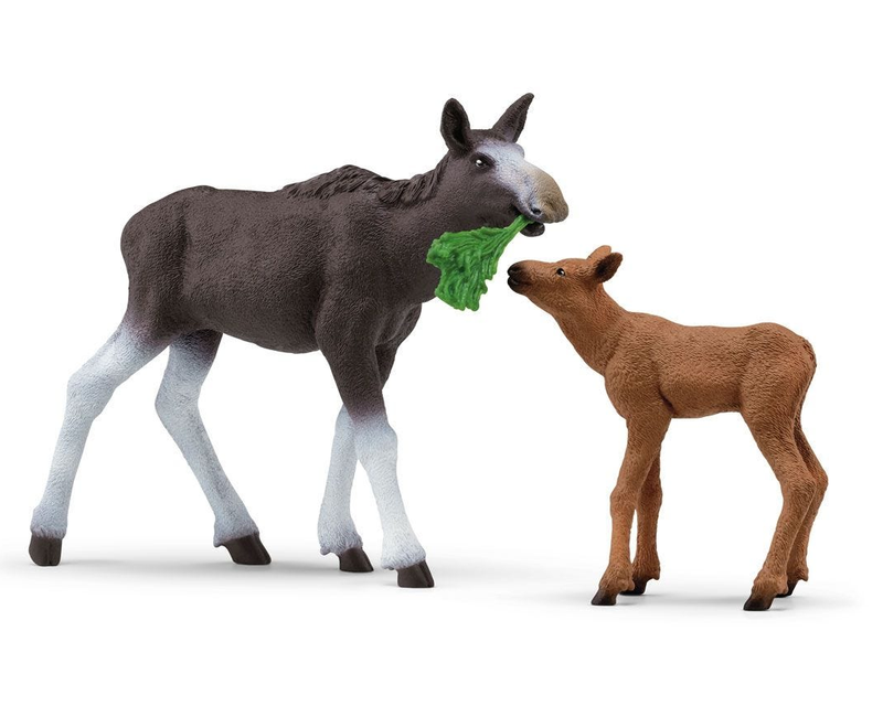 42603 Schleich Wild Life elandkoe