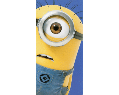 Minions strandlaken stuart