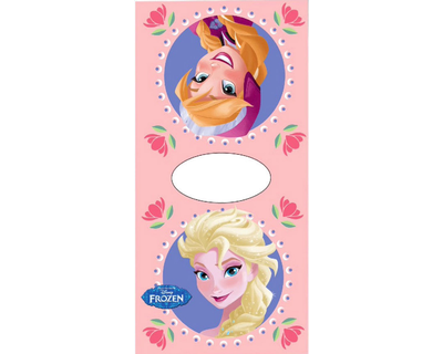 Disney Frozen Poncho sisters