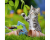 Ravensburger Puzzel 3x 49 Jonge Katjes