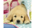 Ravensburger Puzzel 3x 49 Cute puppy doogs