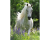 Ravensburger Puzzel 100 stuks Witte Hengst