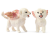 42524 Schleich Bayala Training voor gevleugelde leeuwenbaby's