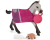 42534 Schleich Horse Club spelplezier met veulen