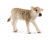 42503 Schleich Farm World Dierenartsbezoek op de boerderij