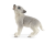 42472 Schleich Wild Life Moeder wolf met welpen