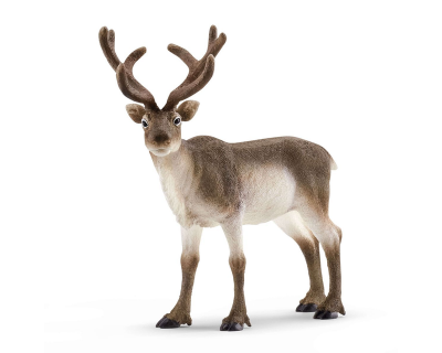 14837 Schleich Wild Life Rendier