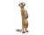 42475 Schleich Wild Life grote truck dierenambulance