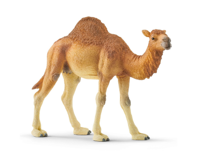 14832 Schleich Wild Life Dromedaris