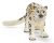 14838 Schleich Wild Life Sneeuwluipaard