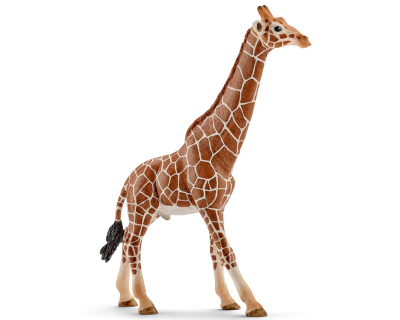 14749 Schleich Wild Life mannetjesgiraf