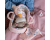 LD4528 Little Dutch Babypop Rosa