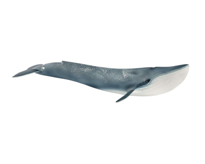 14806 Schleich Wild Life Blauwe vinvis