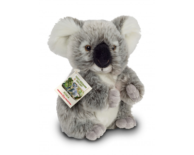 914242 Teddy Hermann Koalabeer, 21cm