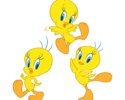 Tweety wanddecoratie 3 stuks