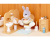 5020 Sylvanian Families - Toiletset