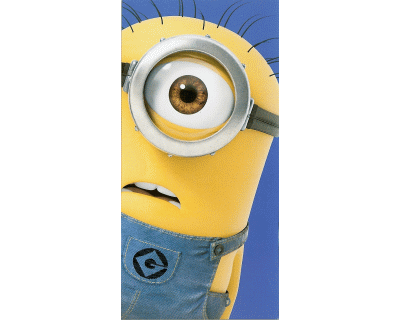 Minions strandlaken stuart
