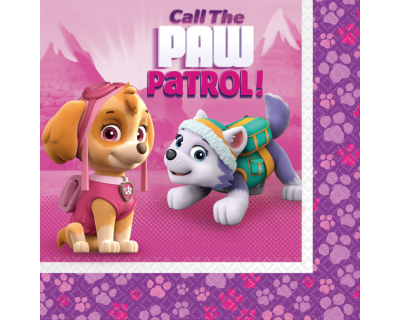 Paw Patrol skye feest servetten