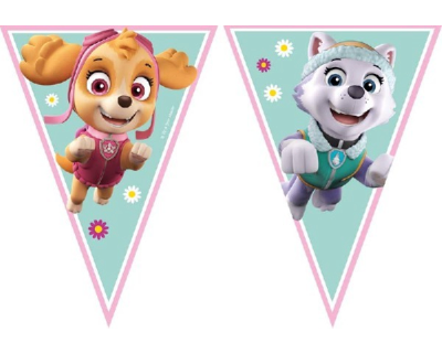 Paw Patrol skye feest vlaggenlijn