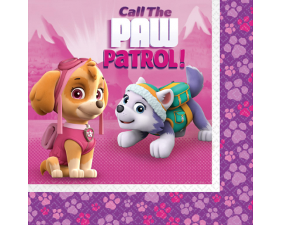 Paw Patrol skye feest servetten