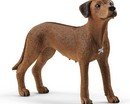 13895 Schleich Farm World Rhodesian ridgeback