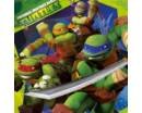 Turtles