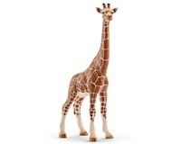 14750 Schleich Wild Life Wijfjesgiraf